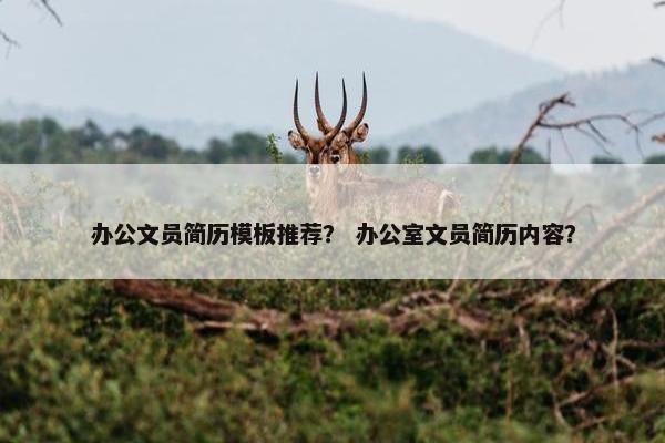 办公文员简历模板推荐？ 办公室文员简历内容？