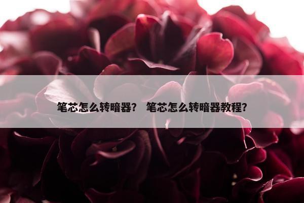 笔芯怎么转暗器？ 笔芯怎么转暗器教程？