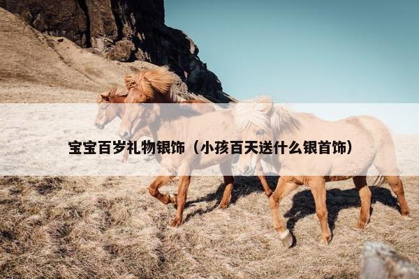 宝宝百岁礼物银饰（小孩百天送什么银首饰）