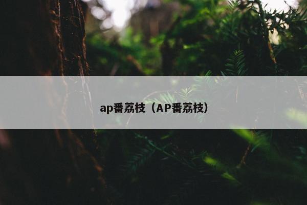 ap番荔枝（AP番荔枝）