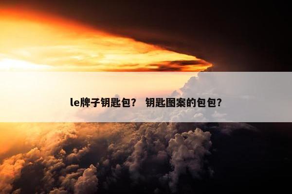 le牌子钥匙包？ 钥匙图案的包包？