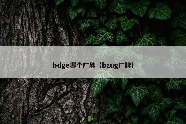 bdge哪个厂牌（bzug厂牌）