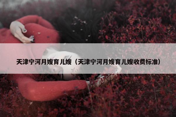 天津宁河月嫂育儿嫂（天津宁河月嫂育儿嫂收费标准）
