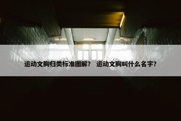运动文胸归类标准图解？ 运动文胸叫什么名字？