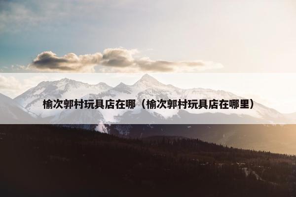 榆次郭村玩具店在哪（榆次郭村玩具店在哪里）