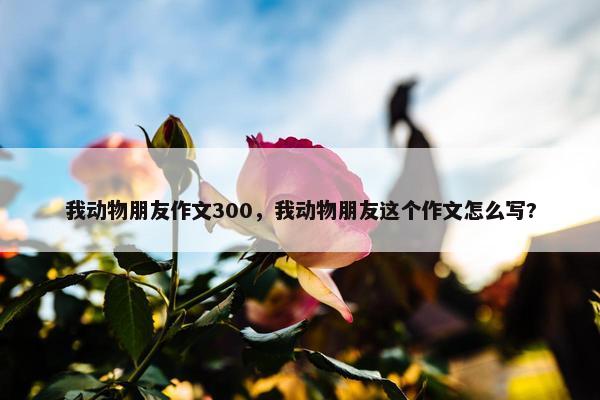 我动物朋友作文300，我动物朋友这个作文怎么写?