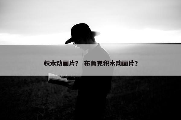 积木动画片？ 布鲁克积木动画片？