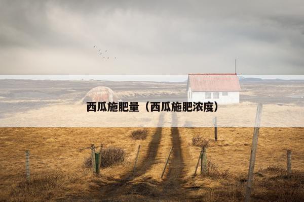 西瓜施肥量（西瓜施肥浓度）