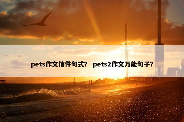 pets作文信件句式？ pets2作文万能句子？