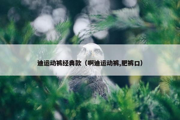 迪运动裤经典款（啊迪运动裤,肥裤口）
