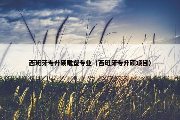 西班牙专升硕雕塑专业（西班牙专升硕项目）