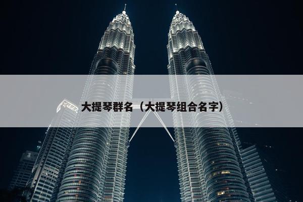 大提琴群名（大提琴组合名字）