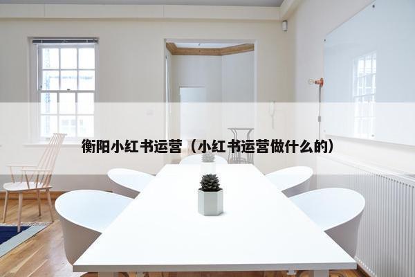 衡阳小红书运营（小红书运营做什么的）