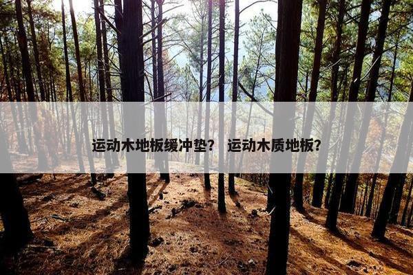 运动木地板缓冲垫？ 运动木质地板？