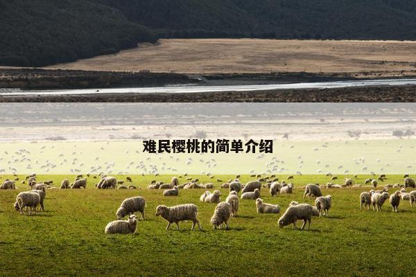 难民樱桃的简单介绍