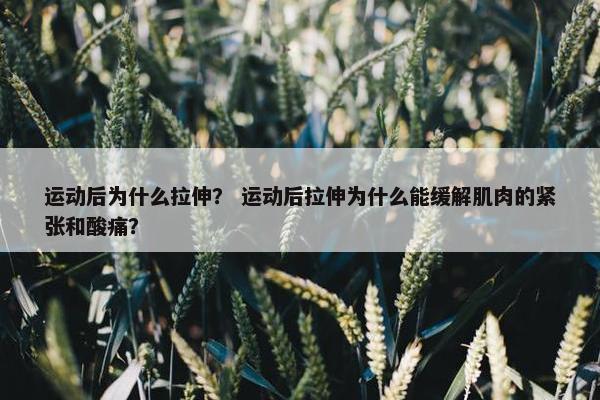 运动后为什么拉伸？ 运动后拉伸为什么能缓解肌肉的紧张和酸痛？