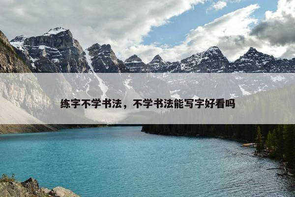 练字不学书法，不学书法能写字好看吗
