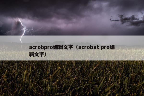 acrobpro编辑文字（acrobat pro编辑文字）