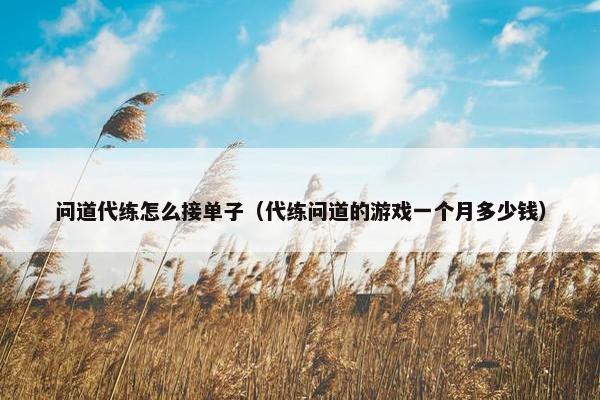 问道代练怎么接单子（代练问道的游戏一个月多少钱）