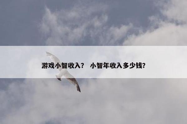 游戏小智收入？ 小智年收入多少钱？