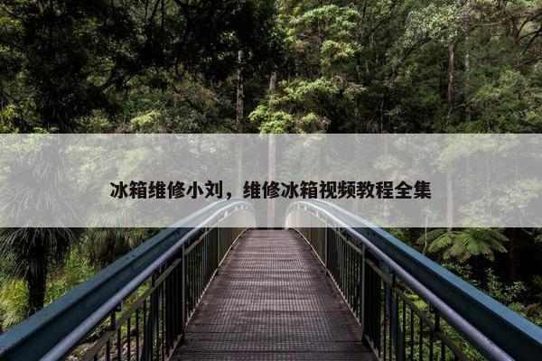 冰箱维修小刘，维修冰箱视频教程全集