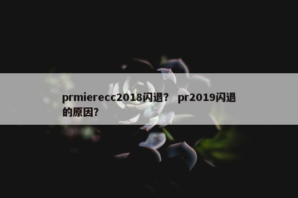 prmierecc2018闪退？ pr2019闪退的原因？