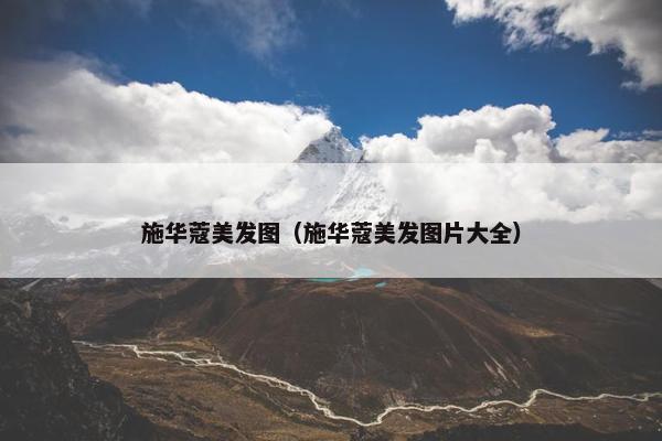 施华蔻美发图（施华蔻美发图片大全）