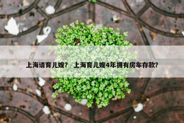上海请育儿嫂？ 上海育儿嫂4年拥有房车存款？