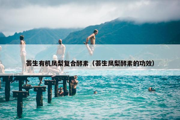 荟生有机凤梨复合酵素（荟生凤梨酵素的功效）