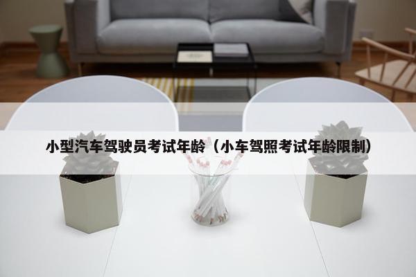小型汽车驾驶员考试年龄（小车驾照考试年龄限制）
