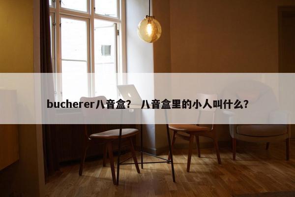 bucherer八音盒？ 八音盒里的小人叫什么？