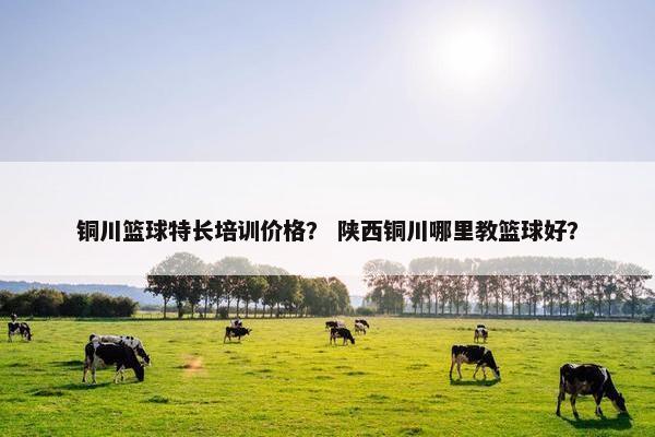 铜川篮球特长培训价格？ 陕西铜川哪里教篮球好？