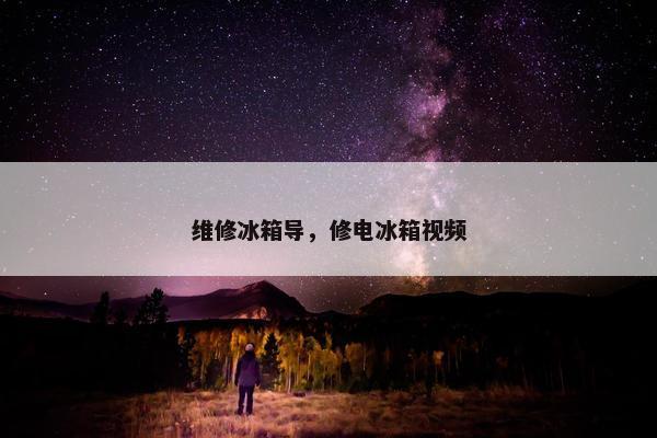 维修冰箱导，修电冰箱视频