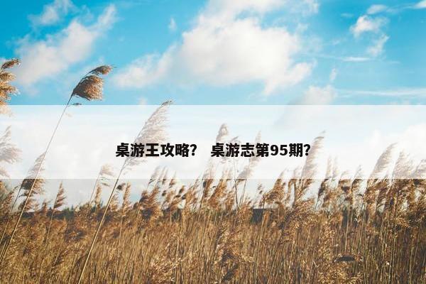 桌游王攻略？ 桌游志第95期？