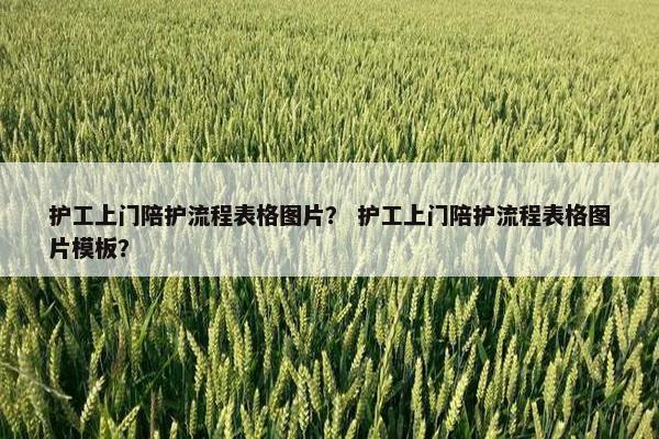 护工上门陪护流程表格图片？ 护工上门陪护流程表格图片模板？