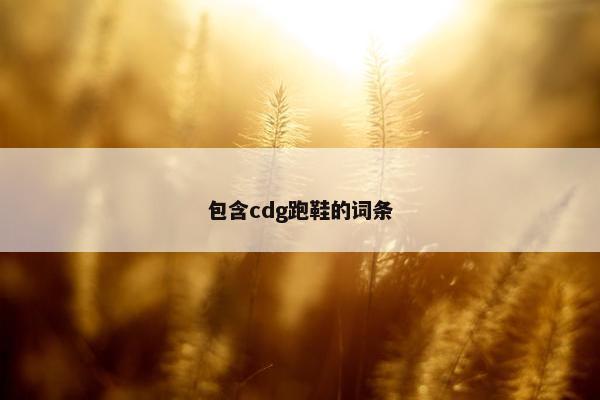 包含cdg跑鞋的词条