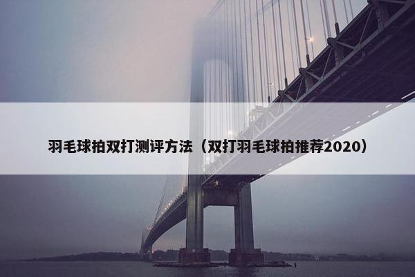 羽毛球拍双打测评方法（双打羽毛球拍推荐2020）