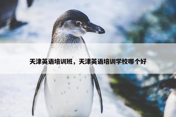 天津英语培训班，天津英语培训学校哪个好