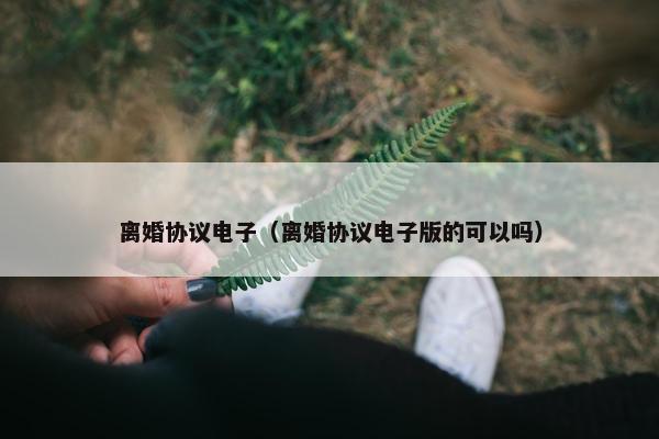 离婚协议电子（离婚协议电子版的可以吗）