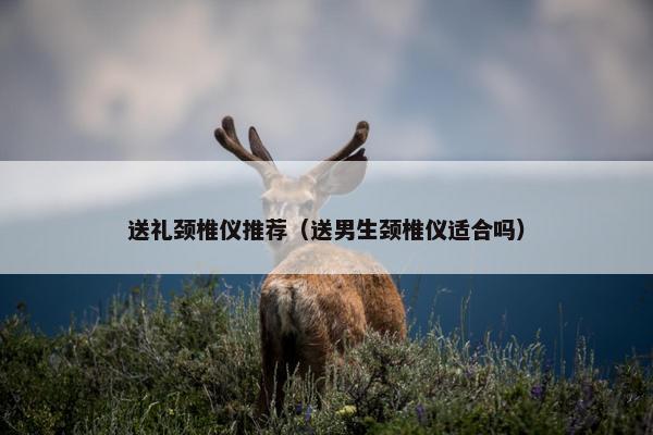 送礼颈椎仪推荐（送男生颈椎仪适合吗）