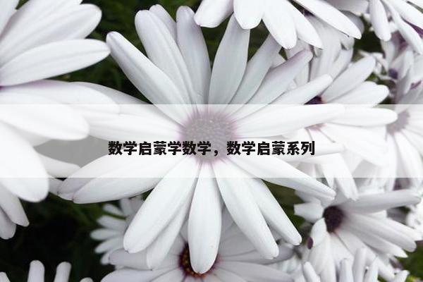 数学启蒙学数学，数学启蒙系列
