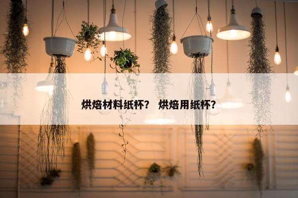 烘焙材料纸杯？ 烘焙用纸杯？