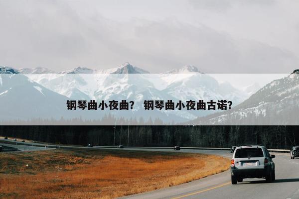 钢琴曲小夜曲？ 钢琴曲小夜曲古诺？