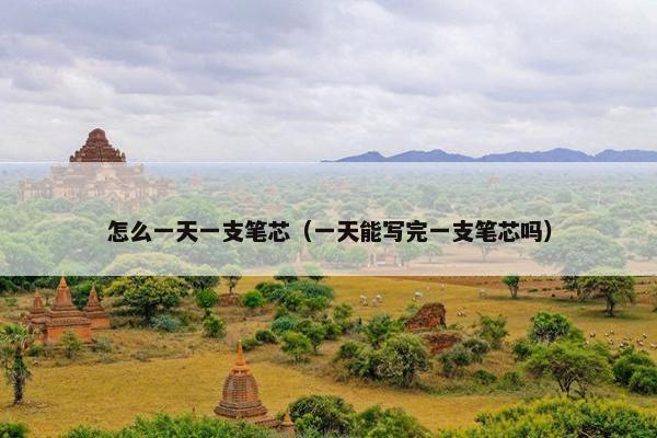 怎么一天一支笔芯（一天能写完一支笔芯吗）