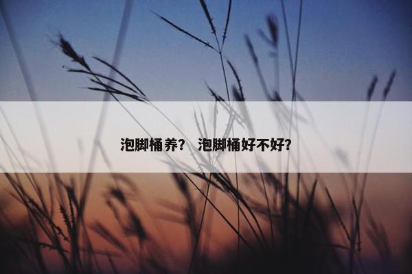 泡脚桶养？ 泡脚桶好不好？