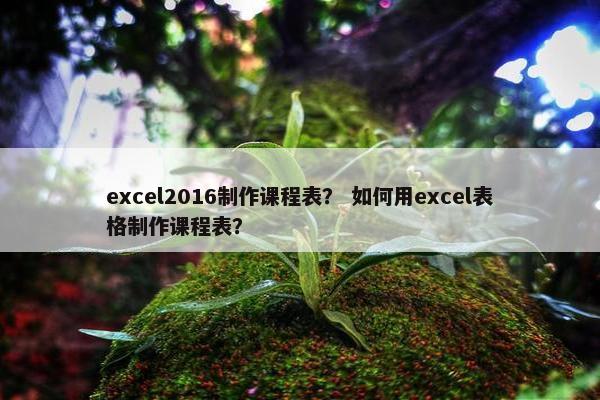excel2016制作课程表？ 如何用excel表格制作课程表？
