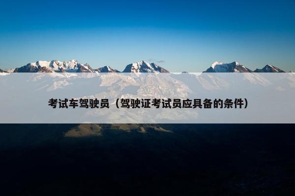 考试车驾驶员（驾驶证考试员应具备的条件）