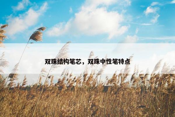 双珠结构笔芯，双珠中性笔特点