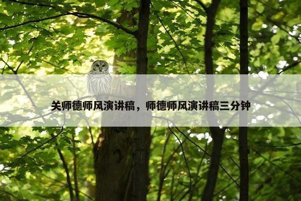 关师德师风演讲稿，师德师风演讲稿三分钟