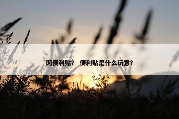 网便利贴？ 便利贴是什么玩意？